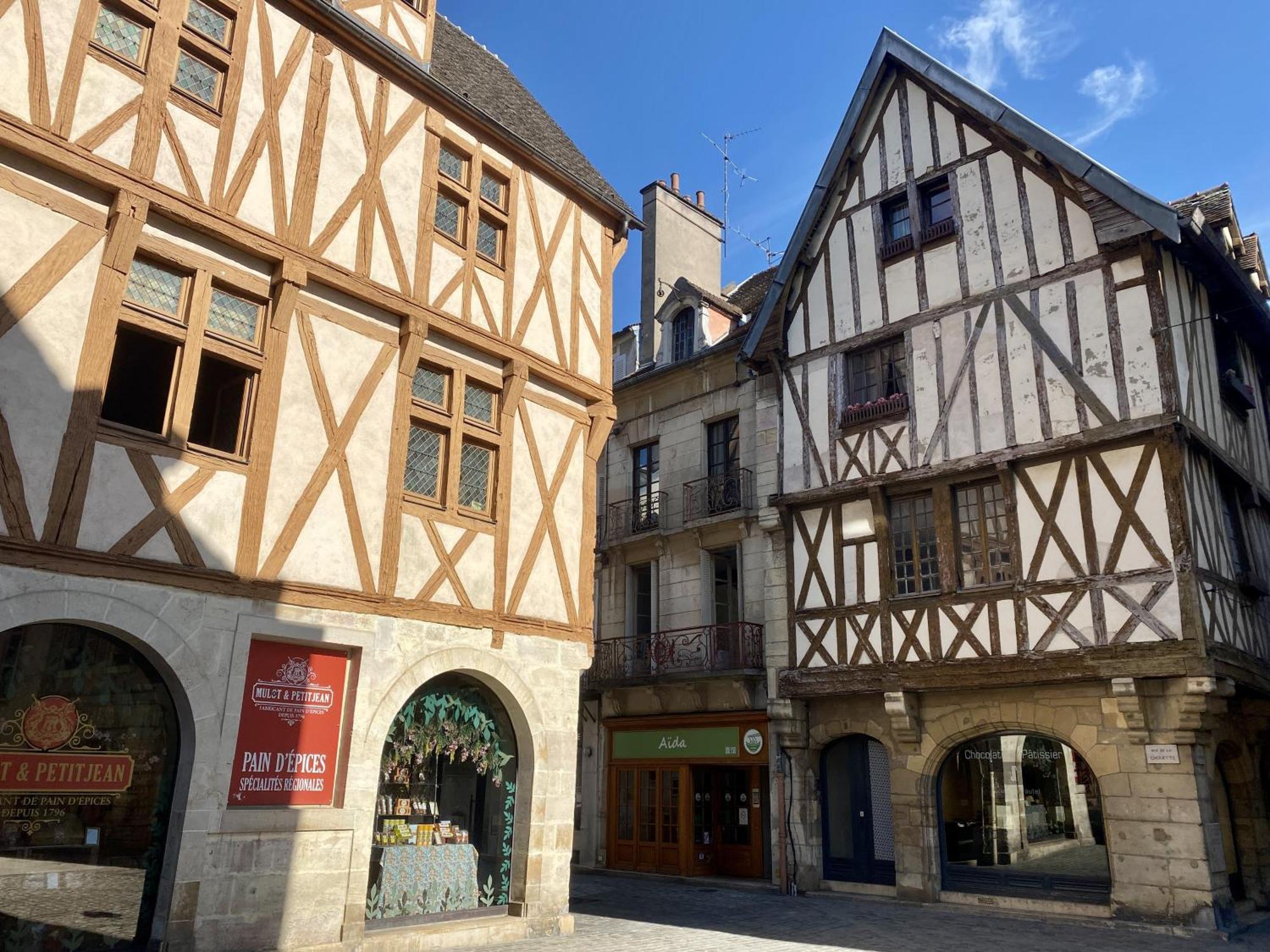 Apartment Le Rousseau - & En Hypercentre Dijon